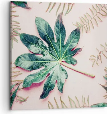 Produktbild von Bild auf Leinwand - Leinwandbild - Einteilig - Blatt Tropisch Palme - 70x70cm - Wand Bild - Wanddeko - Wandbilder - Leinwanddruck - Bilder - Wanddekoration - Leinwand bilder - Wandbild - AC70x70-4314