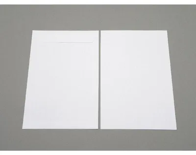 Produktbild von Versandtaschen 254x381mm 120g/qm haftklebend VE=250 Stück weiß