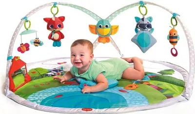 Zdjęcie produktu dla Tiny Love Gymini Dynamic Meadow Days, Siłownia dla niemowląt, Drążek na zabawki, Brzmienie, Wielobarwny