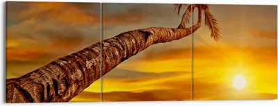 Produktbild von Bild auf Leinwand - Leinwandbild - Palme Landschaft Sonne - 150x50cm - Wand Bild - Wanddeko - Leinwanddruck - Bilder - Kunstdruck - Wanddekoration - Leinwand bilder - Wandkunst - CA150x50-0162