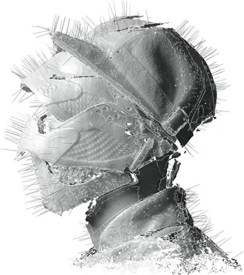 Obrázek produktu pro Woodkid: - Universal Music - (LP / T)