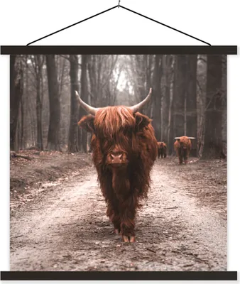 Produktbild von MuchoWow® Textilposter Schottisches Hochlandrind - Wald - Kuh - Tiere - Natur 90x90 cm mit schwarzem Rahmen - Magnetisches