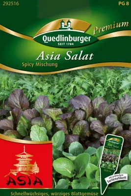 Produktbild von Asia Salat, Spicy Mischung