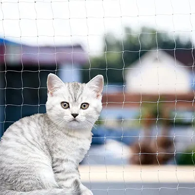 Image de Solidchoice - Filet de protection pour chats, idéal pour les terrasses et les balcons, sûr et transparent