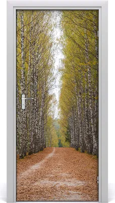 Immagine prodotto di Adesivi decorativi per pareti, dimensioni 95x205 cm, autoadesivi, impermeabili, rimovibili, ideali per camere da letto, soggiorni e arredamento. Marca: Birkenwald