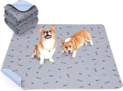 Produktbild von Famanu Puppyunterlage 104 x 104 cm - Wasserfest und Waschbar - Antirutsch Hundetrainingpads