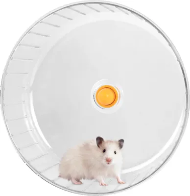 Produktbild von Hamsterrad 17 cm, leise, transparentes Kunststoff, für Hamster