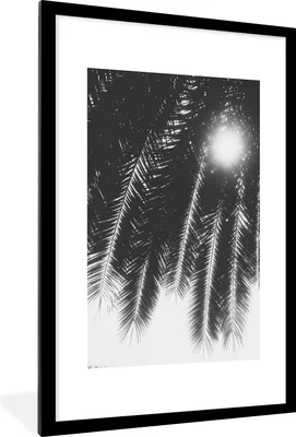 Produktbild von MuchoWow® Gerahmtes Poster Palmenblätter - Tropisch - Sonne - Palme 60x90 cm - Poster mit Schwarzem Bilderrahmen Wandposter Rahmen Foto Bilder - Dekoration - Wandposter Wohnzimmer - Hochwertig