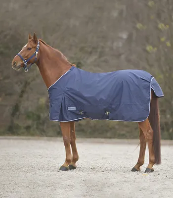 Produktbild von Waldhausen Comfort Regendecke mit Kreuzgurt 0 Gramm