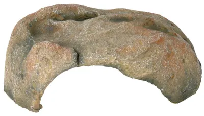 Produktbild von TRIXIE Reptilienhöhle - diverse - 31 × 12 × 27 cm