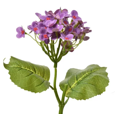 Immagine prodotto di Fiore artificiale Clayre & Eef 37 cm plastica viola