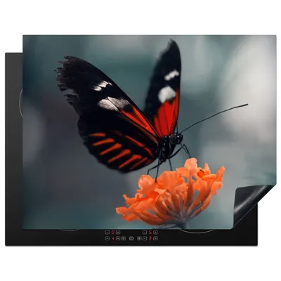 Produktbild von KitchenYeah© Herdabdeckplatte Schmetterling - Blume - Insekt , 77x59cm, Küche Deko, Glaskeramikkochfeld Herdabdeckung, Abdeckplatte fùr Kochfeld