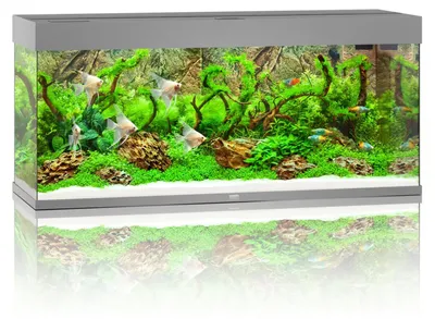 Productafbeelding van Juwel Rio 240 LED | 240L | 121 x 41 x 51CM Grijs