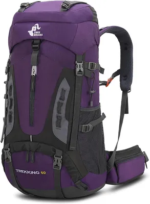 Produktbild von Wanderrucksack 60 l, mit Regenhülle, lila, für Outdoor