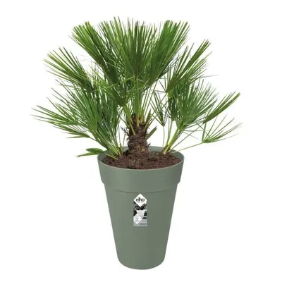 Obrázek produktu pro Květináč Elho Green Ø 34 cm Plastový kruhový moderní