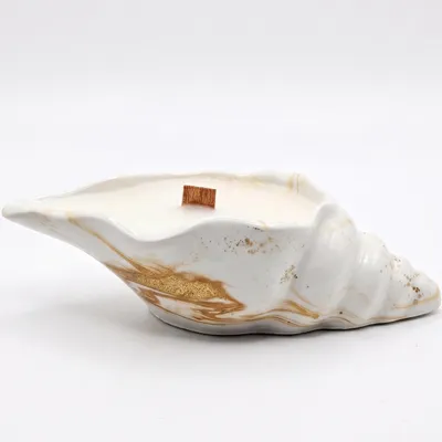 Produktbild von Aura Kerze in Muschelgefäß - Weiß, Gold & Weihrauch von NOBAMO KP40884