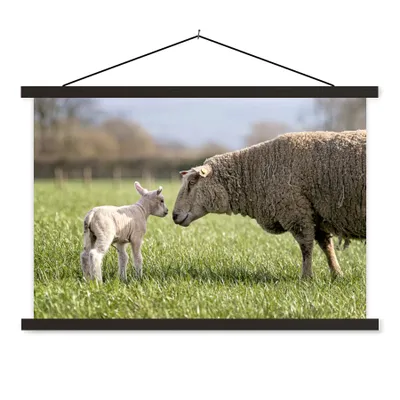 Produktbild von MuchoWow® Textilposter Schafe - Gras - Lamm 60x40 cm mit schwarzem Rahmen - Hölzernes