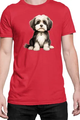 Produktbild von Herren T-Shirt Dogs Breeds Collie Dog Breed 005, Man S / Rot