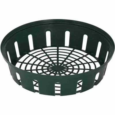 Image de SIENA GARDEN Jardinière pour bulbes 310mm 3pcs.