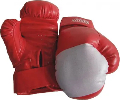 Produktbild von Kasten. Handschuhe SEDCO TG12P 12OZ blau
