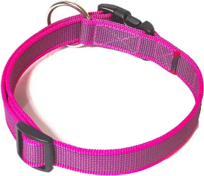 Image de Collier pour chien Julius K-9 Rose 39-65 cm Rose 39-65 cm