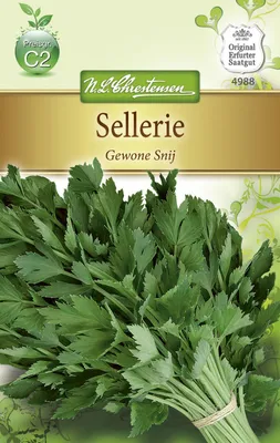 Produktbild von Sellerie Gewone Snij | Selleriesamen von N.L. Chrestensen