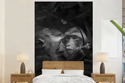 Productafbeelding van Fotobehang met spiegelmotief - zwart-wit - 145 x 220 cm