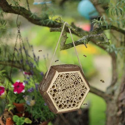 Productafbeelding van Famanu insectenhotel, ontworpen met natuurlijke materialen - Geschikt voor bijen, lieveheersbeestjes en vlinders - Om op te hangen, afmetingen: 18 x 20 x 7 cm