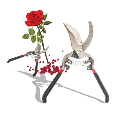 Produktbild von Professionelle Gartenschere aus geschmiedetem Stahl | 20,5 cm Länge | Brandneu