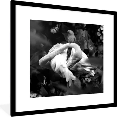Produktbild von MuchoWow® Gerahmtes Poster Flamingo - Tiere - Dschungel - Schwarz - Weiß 40x40 cm - Poster mit Schwarzem Bilderrahmen Wandposter Rahmen Foto Bilder - Poster - Plakat im Rahmen