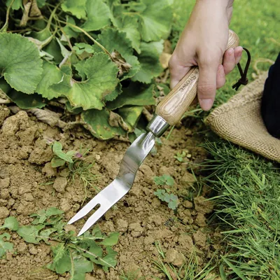 Produktbild von Handwortelstecher aus rostfreiem Stahl mit Holzgriff zur Unkrautentfernung
