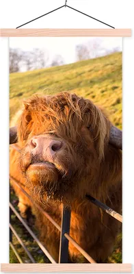 Produktbild von MuchoWow® Textilposter Scottish Hochlandrind - Zaun - Gras 60x120 cm mit holzfarbenen Rahmen - Holz
