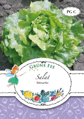 Produktbild von Salat Attraktie | Salatsamen von Grüne Fee [MHD 01/2024]