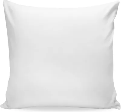 Produktbild von Mr. & Mrs. Panda Sofa Kissen Sprüche und Zitate - Weiß - Geschenk, Spruch Weisheiten Lustig Weisheit Worte, 40x40, für, Dekokissen, bedruckt, Polster, kuschelkissen