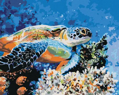 Image de Zuty - Peinture par numéros - TORTUE DE MER, 40 x 50 cm, sans cadre et sans toile tendue