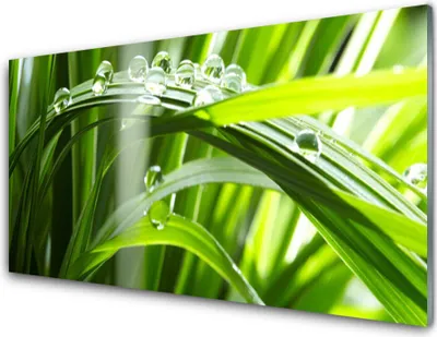 Produktbild von Acrylglasbilder 100x50 Wandbild Druck Gras Tautropfen Pflanzen
