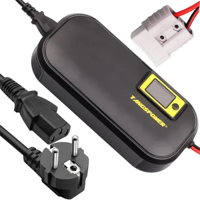 Immagine prodotto di Caricabatterie a batteria 54,6 V, 12 A - Connettore Anderson - Per batterie al litio (Li-Ion, Li-Poly)