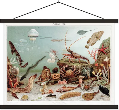 Produktbild von MuchoWow® Textilposter Meerestiere - Steine - Vintage - Zeichnung 40x30 cm mit schwarzem Rahmen - Dekorationen