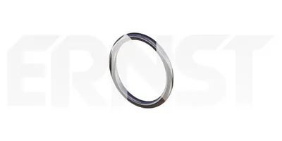 Produktbild von ERNST Dichtring Abgasrohr 493789 für FORD MONDEO III Kombi (BWY)