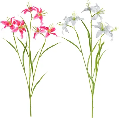 Immagine prodotto di Gigli artificiali in set di 2 colori diversi 64 cm, 5_colore:rosa scuro