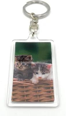 Immagine prodotto di Onwomania - Baby Kitten Cat Kitten - Portachiavi in metallo 3D, ideale come regalo, ad esempio per il migliore amico, la migliore fidanzata, la mamma - Per uomini, donne e bambini