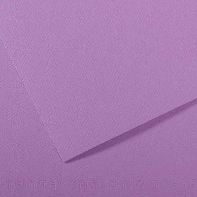 Zdjęcie produktu dla Canson Mi-Teintes A4 Myrtille 113 160 g Papier kolorowy