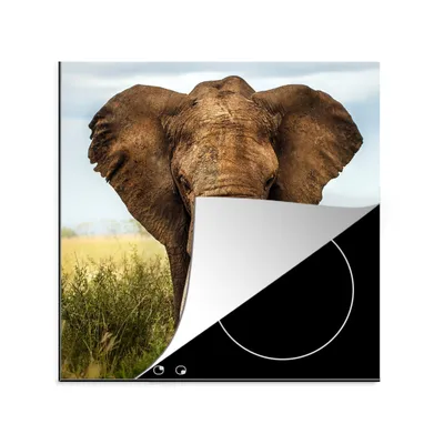 Produktbild von KitchenYeah© Herdabdeckplatte Elefant - Gras - Tiere - Natur , 78x78cm, Küche Deko, Glaskeramikkochfeld Herdabdeckung, Abdeckplatte fùr Kochfeld