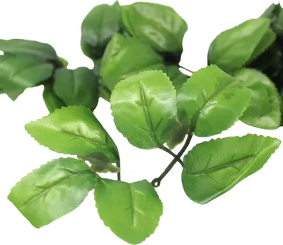 Produktbild von Seifenblumenblätter aus Kunststoff - 10 Stück