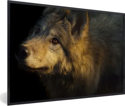 Produktbild von MuchoWow® Gerahmtes Poster Wolf - Gold - Sonne 60x40 cm - Poster mit Schwarzem Bilderrahmen Wandposter Rahmen Foto Bilder - Printing - Wanddeko Schlafzimmer