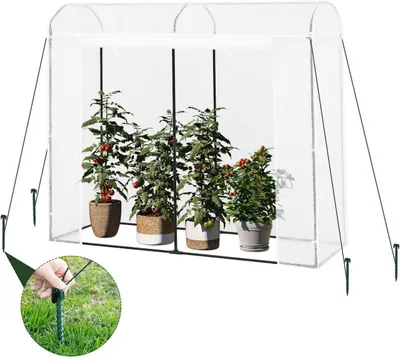 A greenhouse with tomato plants inside, anchored to the ground with stakes.