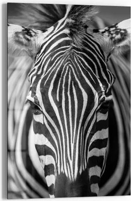Produktbild von DEQORI Glasbild Echtglas 40x60 cm 'Streifenpracht' Wandbild Bild modern Deko