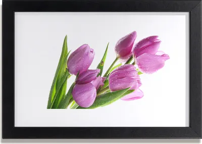 Produktbild von Bild 30x20 MDF-Rahmen Wandkunst Tulpen Blumen Pflanze