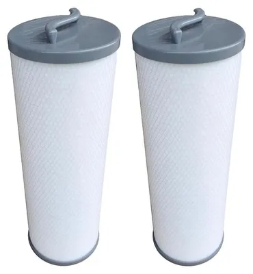 Zdjęcie produktu dla Filtr do basenu FD4001G, 2 sztuki