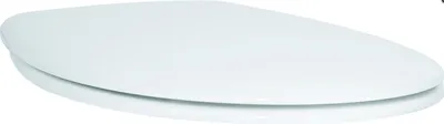 Obrázek produktu pro Grohe WC sedátko Bau Ceramic s funkcí soft close, alpská bílá, 1 ks.